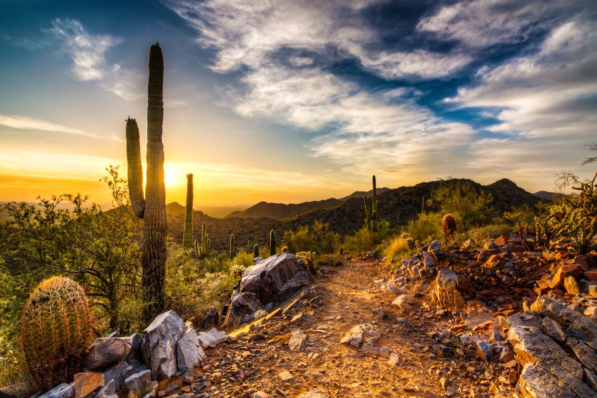 Top Drug Rehab Centers in Arizona for Substance Abuse Recovery