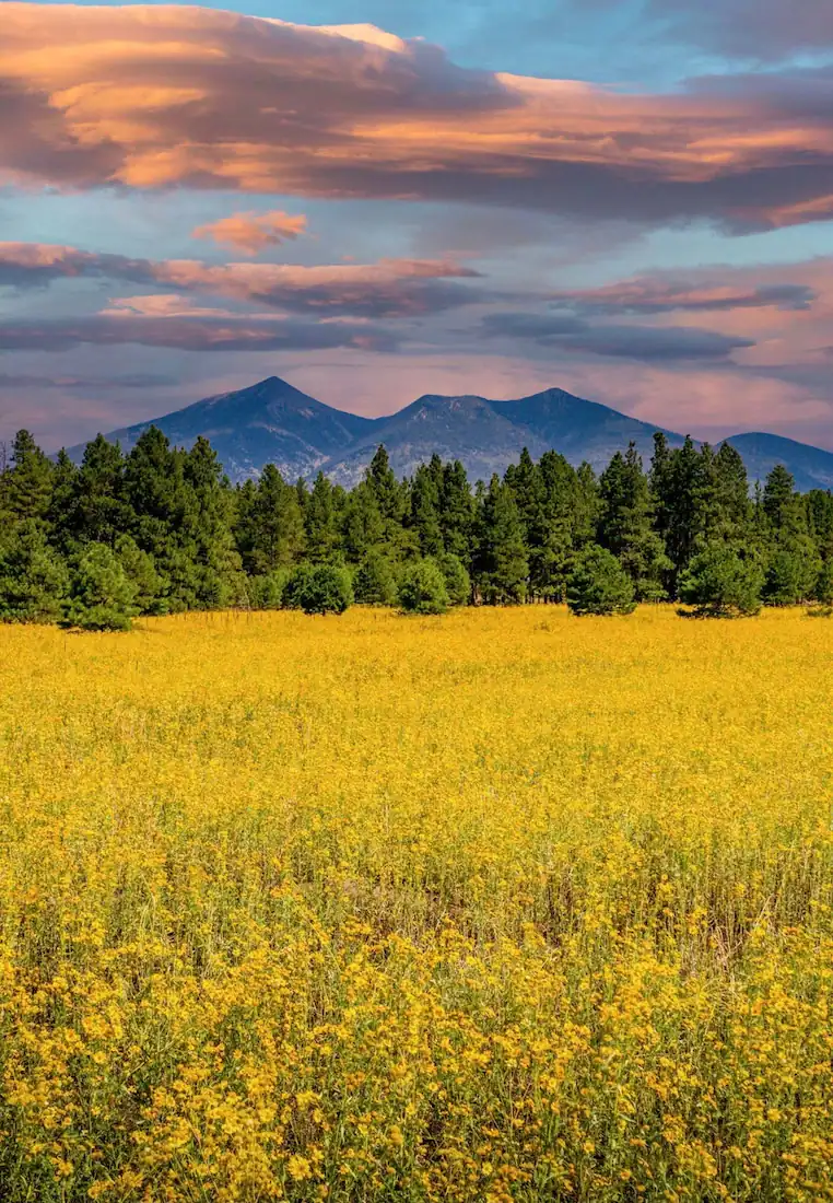 View of a landscape near Flagstaff, AZ, an area our drug rehab serves.