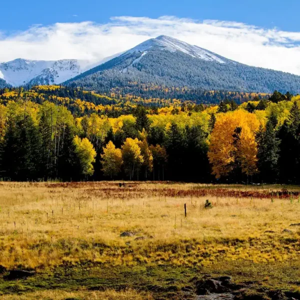 flagstaff drug rehab 1 View of a landscape near Flagstaff, AZ, an area our drug rehab serves.